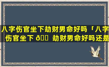 八字伤官坐下劫财男命好吗「八字伤官坐下 🐠 劫财男命好吗还是女 🦈 命」